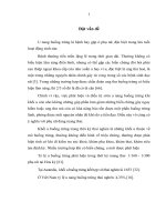 Luận văn y học (HOÀN CHỈNH) xử trí u nang buồng trứng trong thai kỳ bằng phẫu thuật nội soi tại bệnh viện phụ sản trung ương 