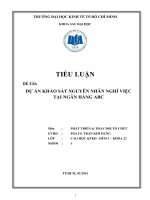 Tiểu luận (môn Phát triển và thay đổi tổ chức) Dự án khảo sát nguyên nhân nghỉ việc tại Ngân hàng ABC