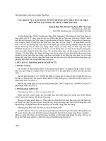 Tác động của xây dựng tuyến đường dây truyền tải 230KV đến rừng tại tỉnh Attapeu, CHDCND Lào