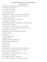 Đề cương ôn tập giữa học kì 2 môn Tin học lớp 11 năm 2020-2021 - Trường THPT Phú Bài