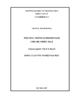 Luận văn tốt nghiệp phương trình schrodinger cho hệ nhiều hạt 