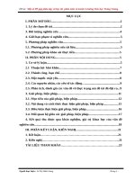 Sáng kiến kinh nghiệm: Một số phương pháp góp phần dạy và học tốt phân môn vẽ tranh ở trường Tiểu học Trưng Vương