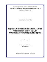 Luật bảo đảm cơ hội đối xử bình đẳng giữa nam giới và nữ giới trong lĩnh vực việc làm  và vai trò của nó trong xã hội nhật bản hiện nay     