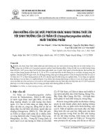 Ảnh hưởng của các mức protein khác nhau trong thức ăn tới sinh trưởng của cá Trắm cỏ (Ctenopharyngodon idellus) nuôi thương phẩm