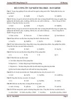 Đề cương ôn tập học kì 2 môn Hóa học lớp 12 năm 2020-2021 - Trường THPT Đông Dương CS2 (Ban KHXH)