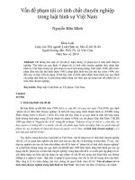 Vấn đề phạm tội có tính chất chuyên nghiệp trong luật hình sự Việt Nam