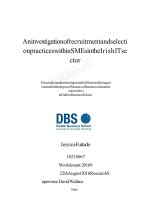LUẬN văn THẠC sĩ (KINH tế) an investigation of recruitment and selection practices within SMEs in the irish IT sector 