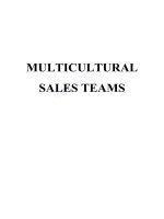 LUẬN văn THẠC sĩ (KINH tế) how to manage the multicultural sales teams 