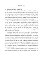 Hoàn thiện quản trị lực lượng bán hàng của công ty cổ phần tập đoàn austdoor (tt) 