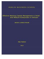 LUẬN văn THẠC sĩ (KINH tế) effective working capital management in small and medium enterprises in vietnam 