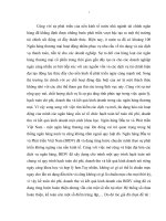 Hoàn thiện kế toán chi phí doanh thu và kết quả kinh doanh tại ngân hàng đầu tư và phát triển việt nam (tt) 