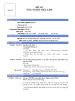 Mẫu Đơn xin việc đầy đủ 2021