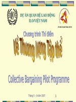 Bài giảng chuyên đề: Thương lượng tập thể