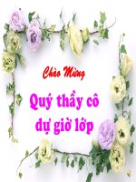 bai 17 day hoat dong hoa hoc cua kim loai