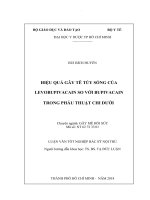 Hiệu quả gây tê tủy sống của levobupivacain so với bupivacain trong phẫu thuật chi dưới 