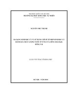 Đa dạng sinh học cá và sử dụng chỉ số tổ hợp sinh học cá để đánh giá chất lượng nước ở vùng cửa sông Soài Rạp, Đồng Nai
