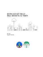 Hướng dẫn kỹ thuật phục hồi rừng tự nhiên