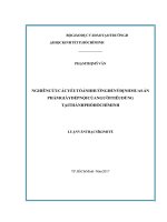 Luận văn thạc sĩ kinh doanh thương mại (FULL) nghiên cứu các yếu tổ ảnh hưởng đến ý định mua sản phẩm giày dép nội của người tiêu dùng 