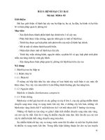 Giáo trình môn học/mô đun: Bệnh cây chuyên khoa (Nghề: Bảo vệ thực vật): Phần 2