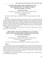 Tổ chức hoạt động trải nghiệm sáng tạo cho sinh viên ngữ văn, khoa Sư phạm, trường Đại học An Giang