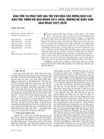 Bảo tồn và phát huy giá trị văn hóa của đồng bào các dân tộc thiểu số giai đoạn 2011-2020, những đề xuất cho giai đoạn 2021-2030
