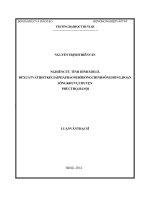 (Luận văn thạc sĩ file word) Nghiên cứu tình hình xói lở, đề xuất và thiết kế giải pháp bảo vệ bờ dòng chính sông Hồng, đoạn sông khu vực huyện Phúc Thọ, Hà Nội