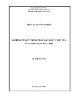 Nghiên cứu quy trình phân lập bào tử đơn của nấm cordyceps militaris 