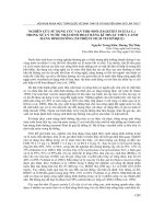 Nghiên cứu sử dụng cúc vạn thọ nhỏ (Tagestes Patula L.) trong xử lý nước thải sinh hoạt bằng kĩ thuật thủy canh màng dinh dưỡng (Nutrient Film Technique)