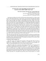 Sử dụng mã vạch ADN định loại mẫu rái cá tại bảo tàng thiên nhiên Việt Nam