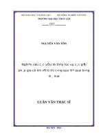 (Luận văn thạc sĩ file word) Nghiên cứu các yếu tố thủy lực và các giải pháp gia cố khi xả lũ thi công qua đê quai bằng đá đổ