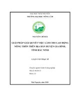 Luận văn thạc sĩ giải pháp giải quyết việc làm cho lao động nông thôn trên địa bàn huyện gia bình, tỉnh bắc ninh 