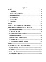 Tìm hiểu về điệu nhảy Dance sport từ lớp học khiêu vũ thể thao trong thành phố Hà Nội