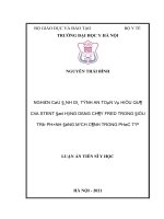 luận án tiến sĩ nghiên cứu đánh giá tính an toàn và hiệu quả của stent đổi hướng dòng chảy FRED trong điều trị phình động mạch cảnh trong phức tạp 