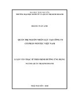 Luận văn thạc sĩ quản trị nhân lực tại công ty cổ phần WINTEC việt nam 