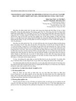 Thành phần loài thuộc họ bìm bìm (Convolvulaceae) tại khu bảo tồn thiên nhiên Sơn Trà, thành phố Đà Nẵng, Việt Nam