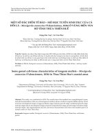 Một số đặc điểm tế bào – mô học tuyến sinh dục của cá đối lá - Moolgarda cunnesius (Valenciennes, 1836) ở vùng biển ven bờ tỉnh Thừa Thiên Huế