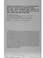 Những ảnh hưởng của giải pháp bờ kè đối với vấn đề ngập trong đô thị: Bài học kinh nghiệm cho TP.HCM từ thất bại của các hệ thống bảo vệ tại một số đô thị trên thế giới