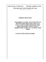 Ảnh hưởng của độc tố sắt đối với lúa trên đất phèn đồng bằng sông cửu long và một số biện pháp khắc phục thiệt hại do độc tố sắt gây ra 