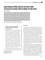 Kinh doanh lưỡng diện và sự phát triển của dịch vụ thanh toán di động tại Việt Nam