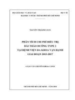 Phân tích chi phí điều trị đái tháo đường type 2 tại bệnh viện đa khoa vạn hạnh giai đoạn 2013 2017 