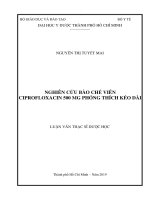 Nghiên cứu bào chế viên ciprofloxacin 500 mg phóng thích kéo dài 