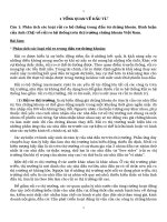 đề cương phân tích  đầu tư chứng khoán trường đại học kinh tế quốc dân có đáp án đầy đủ