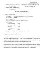 Đề cương chi tiết học phần Thị trường chứng khoán (Stock Market Investment)