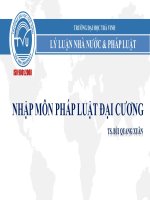 Bài giảng Nhập môn Pháp luật đại cương - TS. Bùi Quang Xuân