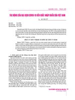 Tác động của đại dịch Covid-19 đến xuất nhập khẩu của Việt Nam