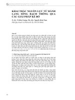 Khai thác nguồn lực từ hành lang sông rạch thông qua các giải pháp kè bờ
