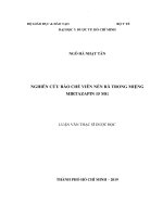 Nghiên cứu bào chế viên nén rã trong miệng mirtazapin 15 mg 