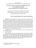 Tác động Covid-19 đến doanh nghiệp Việt Nam và giải pháp phát triển doanh nghiệp Việt Nam thời gian tới