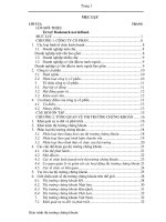 Giáo trình Thị trường chứng khoán