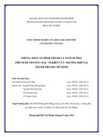 Những nhân tố hình thành và nuôi dưỡng phố đi bộ thương mại   nghiên cứu trường hợp tại thành phố hồ chí minh    